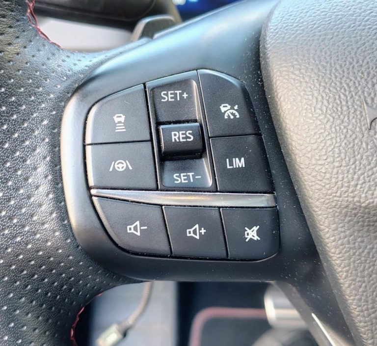 Steuerknöpfe am Lenkrad mit Bedienungselementen für Tempomat und Audio.